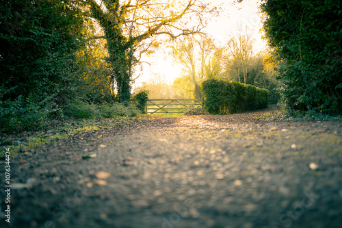 Ethereal, ground level view of a distant farm and paddock gate seen during autumn cold but bright autumn evening. photo