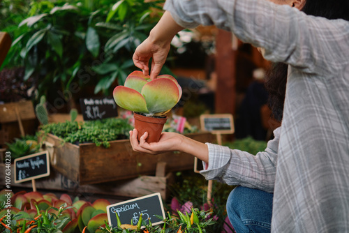 Gardener with succulent plant in garden photo