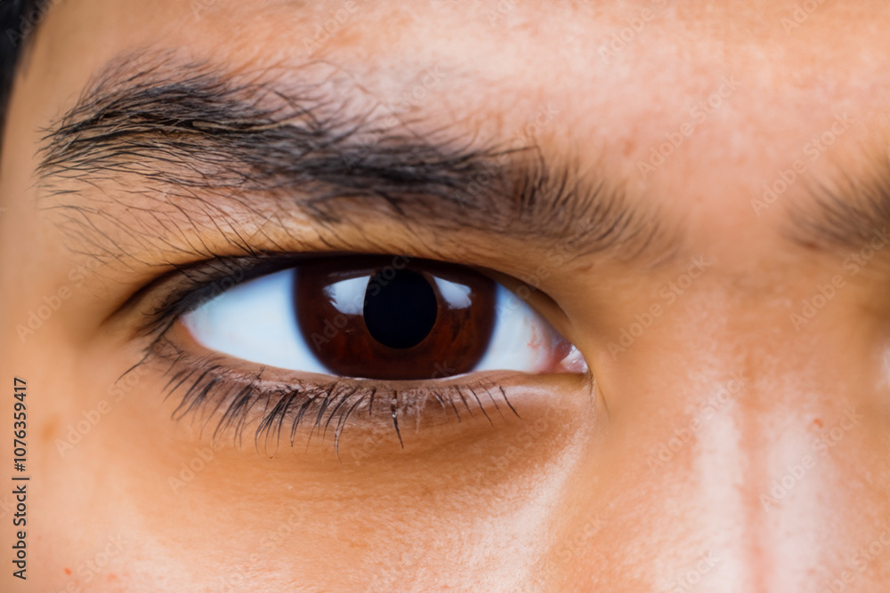 Close up of a brown and white man with brown eyes. Portrait face young concept. Close up of a young boy with bright brown eyes and iris in the. Close up of a brown and bright iris on a white. Close up of a brown and white man with brown eyes. Portrait face young concept. Close up of a young boy with bright brown eyes and iris in the. Close up of a brown and bright iris on a white.