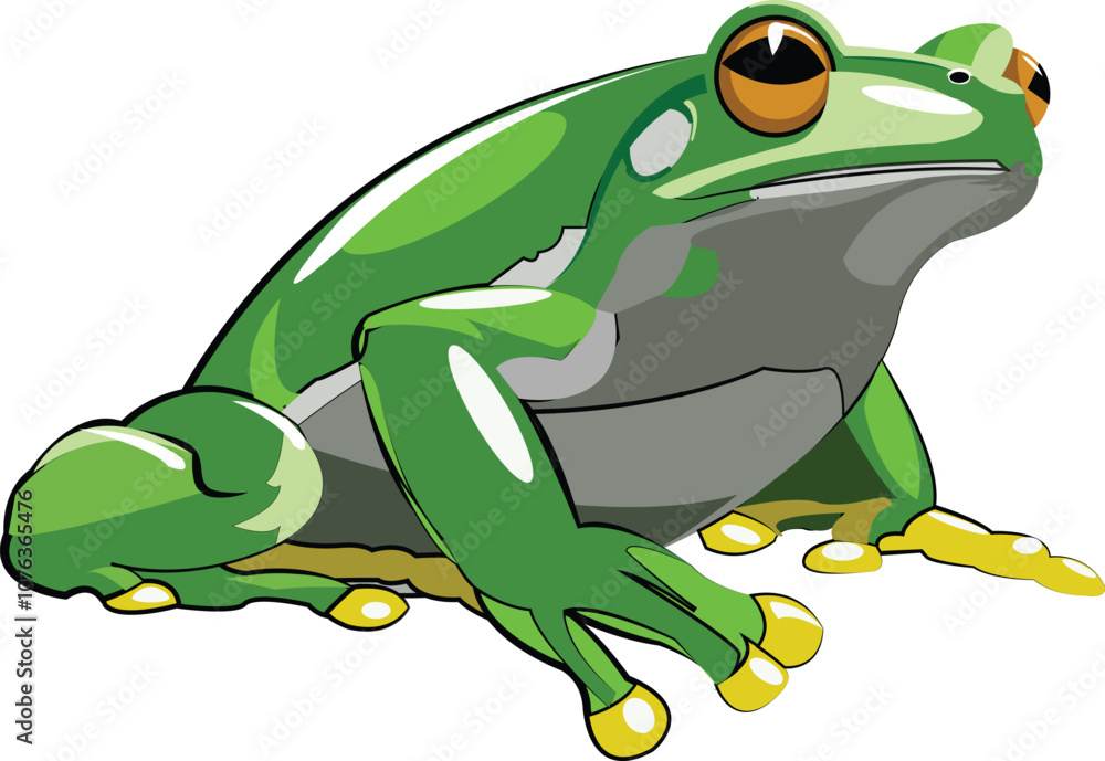 Vector image of a green frog ready to jump Vector image of a green frog ready to jump