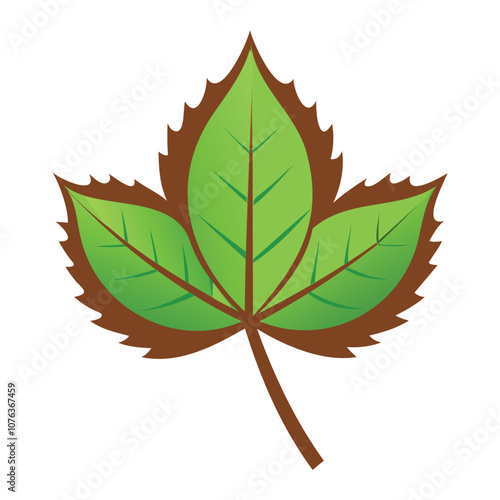  chestnut leaf vector art 