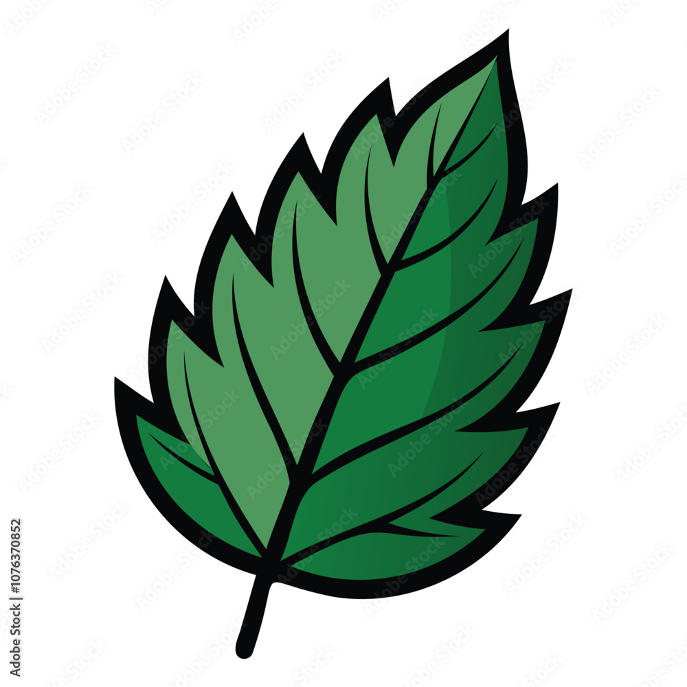 botanical ash leaf design in vector style
botanical ash leaf design in vector style