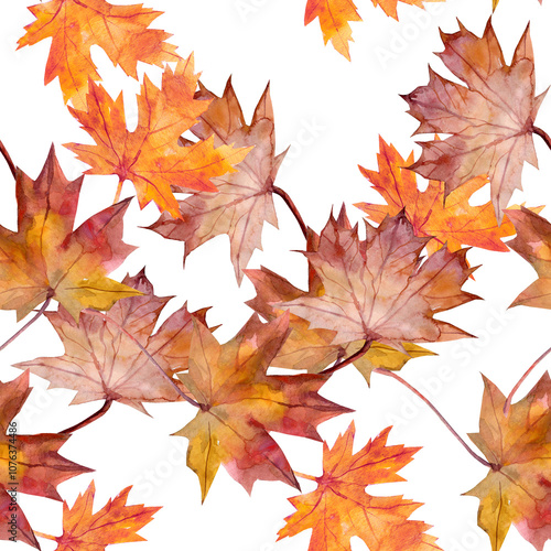 Autumn Leaves Pattern seamless. Motives on white and color background.
