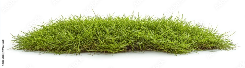 Lush Green Grass Patch Isolated on a White Background Lush Green Grass Patch Isolated on a White Background