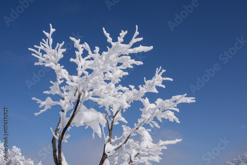 Wallpaper Mural 白と青 Torontodigital.ca