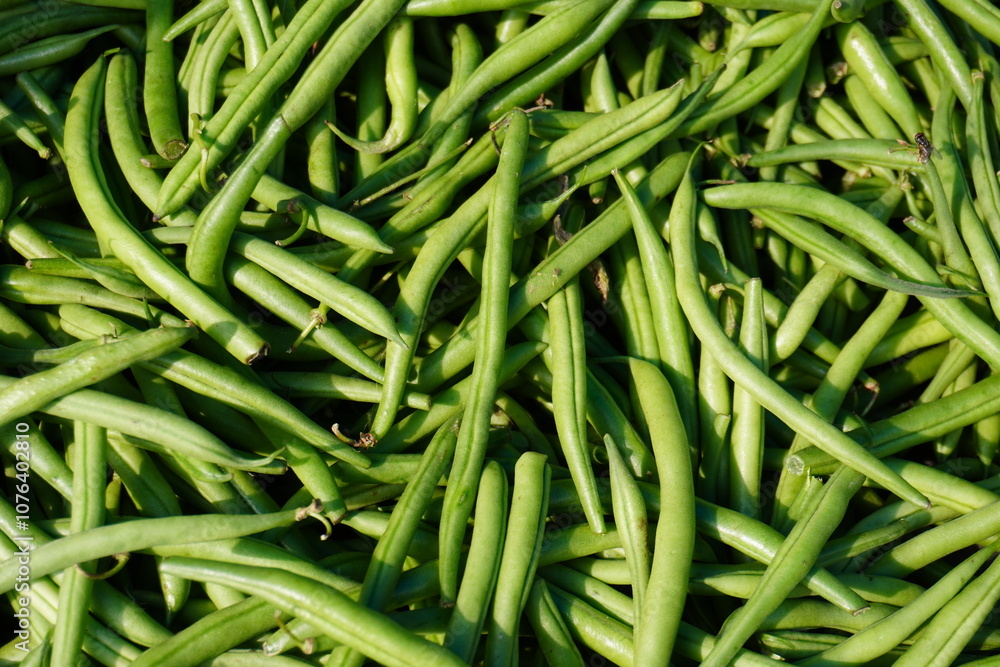 Fresh green beans close up in the vegetable store Fresh green beans close up in the vegetable store