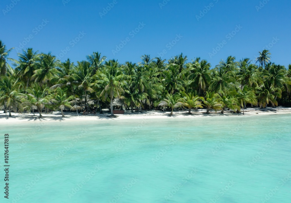 Aerial Photo, TopDown Drone Shot of Beach Palm Trees Aerial Photo, TopDown Drone Shot of Beach Palm Trees