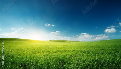 透明なブルーの空の下、広がる緑の草原。太陽の温かな光が降り注ぎ、エコでサステイナブルな未来を感じさせるシンプルで心地よい風景。環境を意識したデザインにぴったりです。
