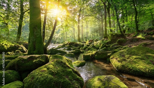 緑豊かな森林の景色。苔むした石と柔らかな日差しが木々を照らし、自然の美しさを際立たせるエコな背景素材。静寂に包まれた自然の力強さを感じさせるデザインです。
 photo