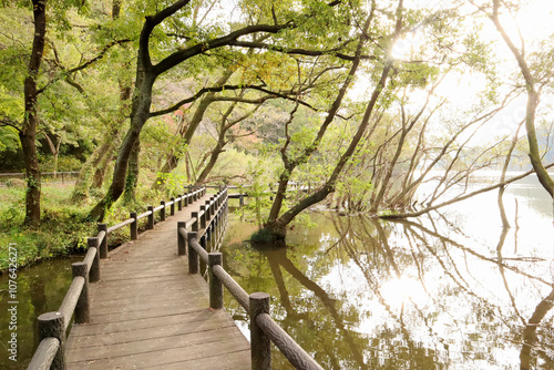 埼玉県吉見町八丁湖 photo