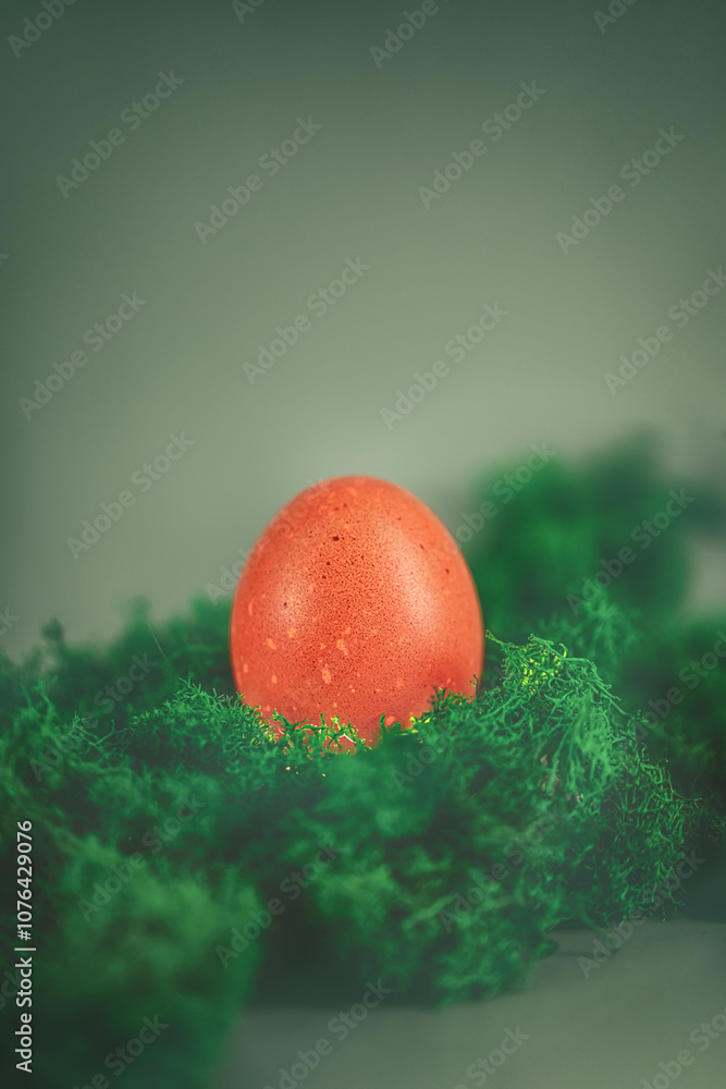 brown egg among green moss. creative minimalistic easter photo, raw food, with copy space brown egg among green moss. creative minimalistic easter photo, raw food, with copy space