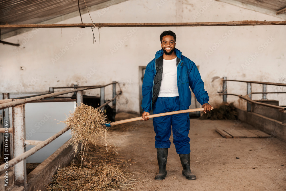 Multicultural farm worker with pitchfork feeding animals in stall. Multicultural farm worker with pitchfork feeding animals in stall.