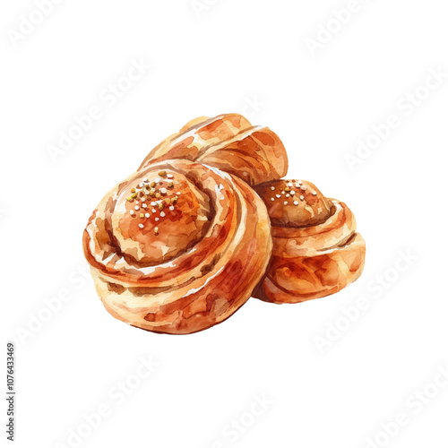 cardamom buns vector illustration in watercolor style