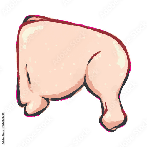 Raw chicken leg