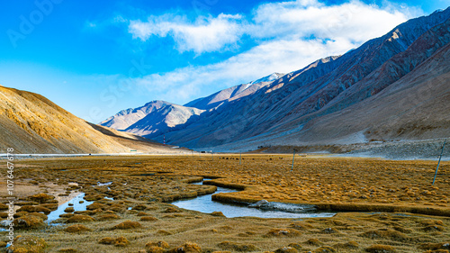 Along the Himalayan road to Pangon Lake, one can often see golden grasslands used for grazing horses, tamarinds and sheep. photo