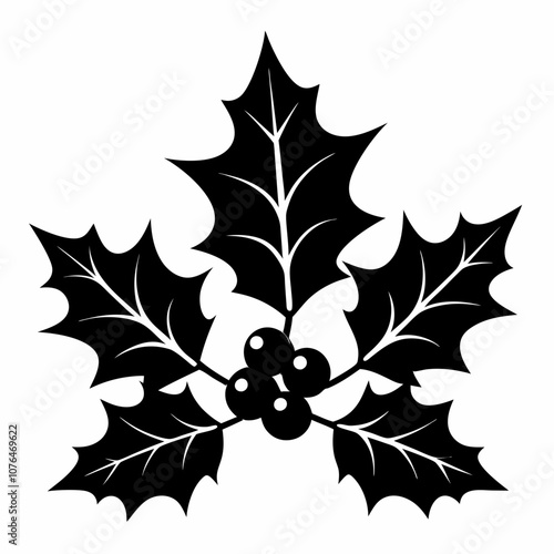 Vector holly leaves and berries silhouette black illustration on a white background