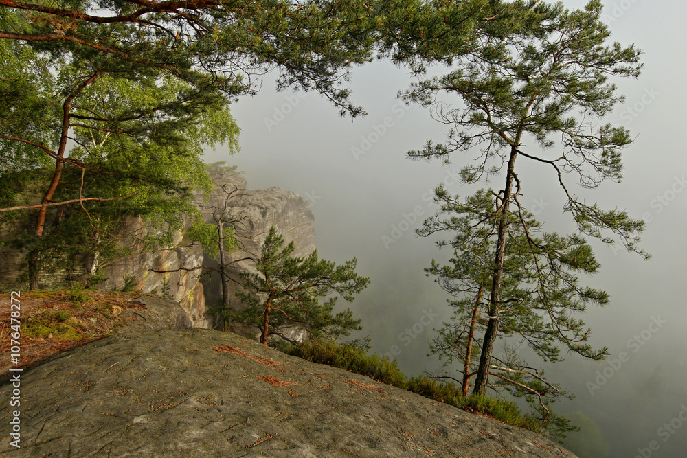 Naklejka premium Rocky landscape with fog in autumn