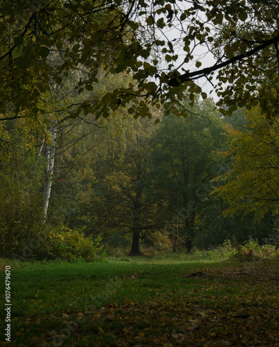 fall
