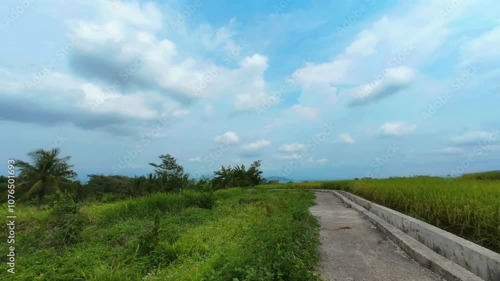 Timelapse of cloud movement over rice field irrigation system. 4K quality timelapse footage Timelapse of cloud movement over rice field irrigation system. 4K quality timelapse footage