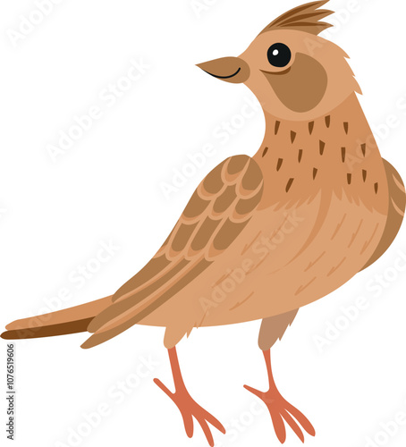 cartoon childish vector illustration of eurasian skylark isolated on white background