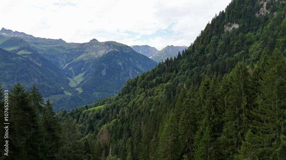 A lush green forest stretches across the mountainous landscape under a cloudy sky in Luchsingen A lush green forest stretches across the mountainous landscape under a cloudy sky in Luchsingen
