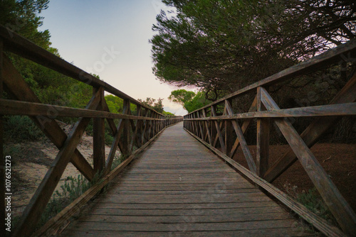 walkway to the beach on playa de muro photo