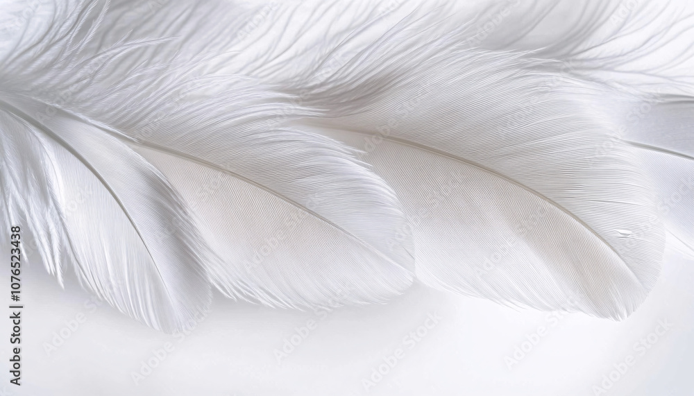 Fototapeta premium Delicate white feathers cascading on a smooth, luminous white background, evoking tranquility and serenity. Can be used for relaxation and mindfulness content.