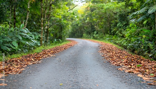 A winding road through a lush green forest with fallen leaves on the sides.