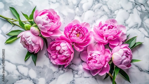 Serene Arrangement of Delicate Pink Peonies on a Marble Surface for an Elegant and Tranquil Home Decor Setting