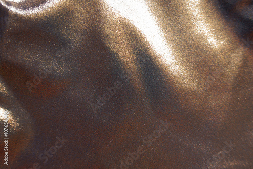Tableau sur toile Backdrop - shiny bronze nylon and spandex lame fabric