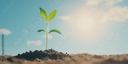 A young plant sprouting from fertile soil under a bright sky, symbolizing growth and hope. photo