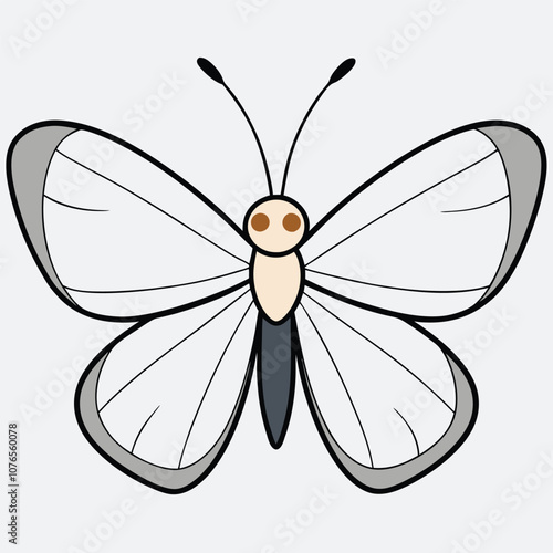 Gray Hairstreak butterfly vector illustrations on a white background.