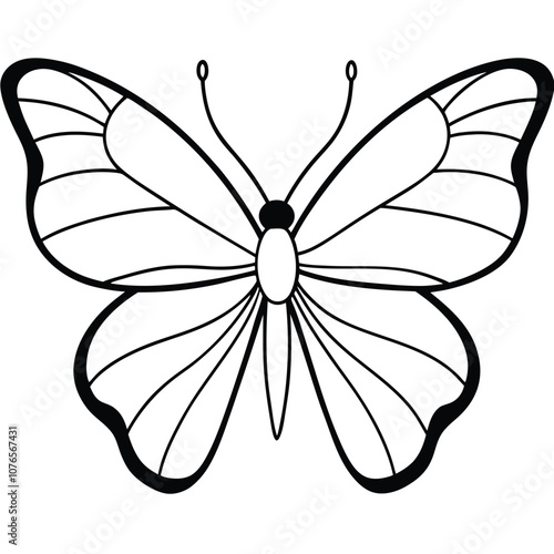 Great Southern White butterfly vector illustrations on a white background.