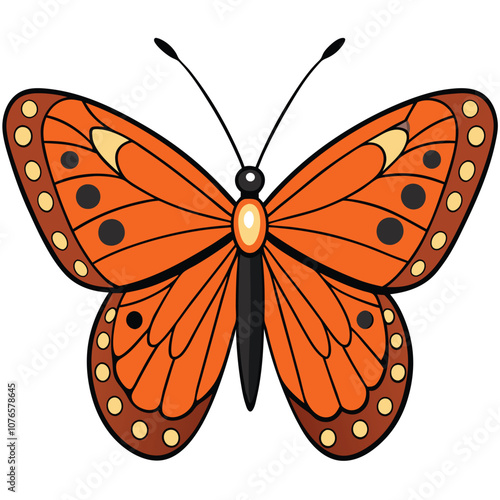 Gulf Fritillary butterfly vector illustrations on a white background.