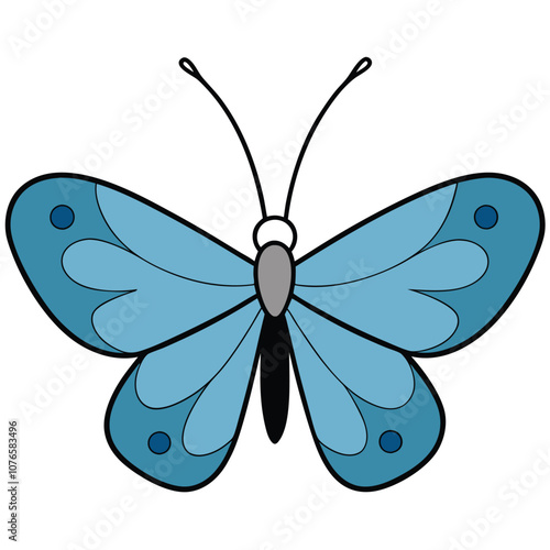 holly blue butterfly vector illustrations on a white background.