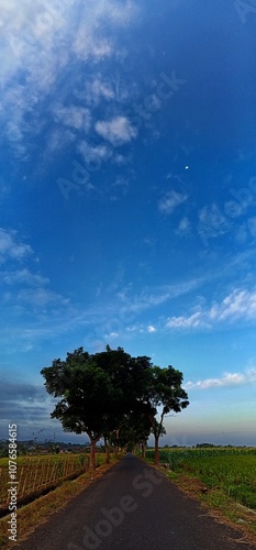 The streets are straight with lush trees against a backdrop of blue clouds and a crescent moon during the day