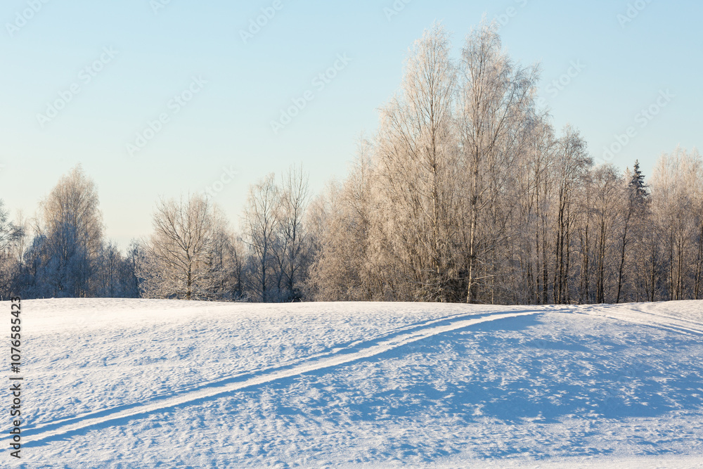 sunny, snowy winter day in the countryside sunny, snowy winter day in the countryside