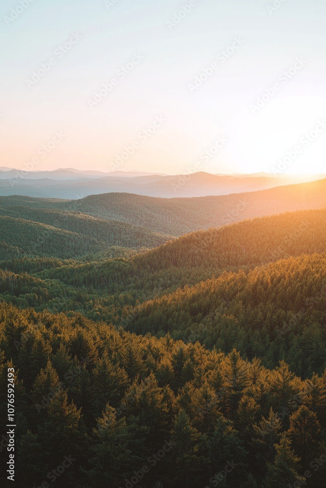 Fototapeta premium Mountain range with fore at sunset, with the sun setting behind them.