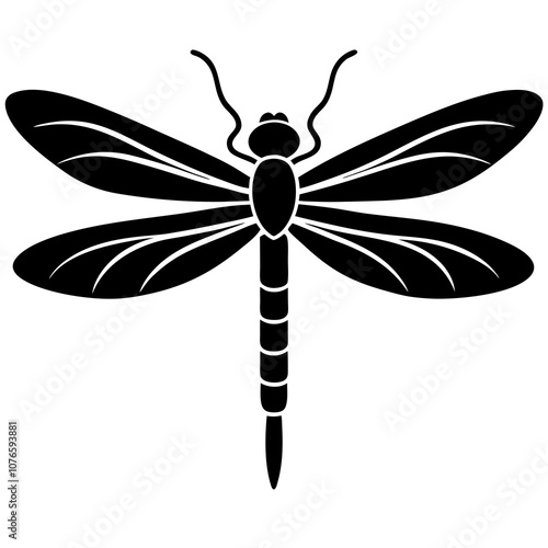 dragonfly on white background