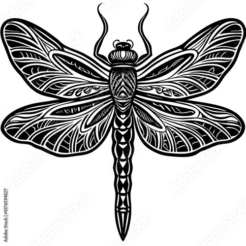 black and white dragonfly