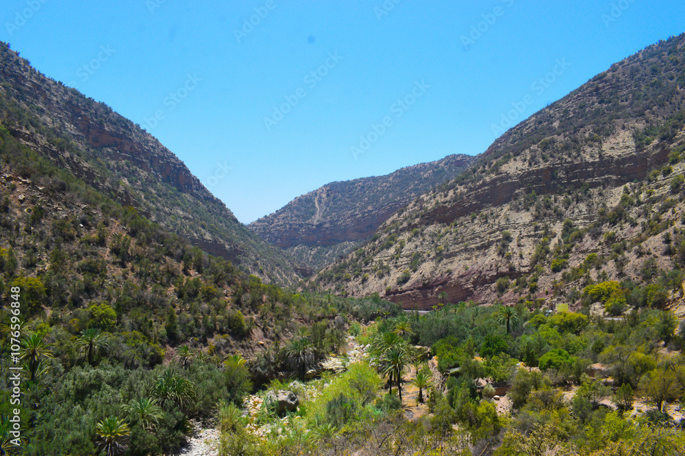 Naklejka premium landscape and mountains