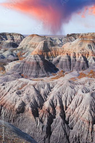 Petriefied Forest National Park Arizona photo