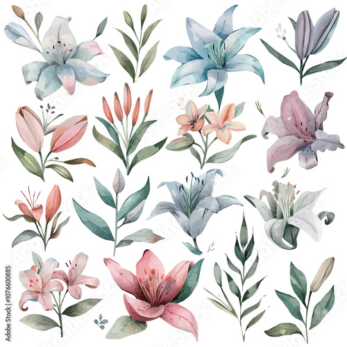 illustration of Lily flower clipart. Watercolor white floral design. lily branch flower set, watercolor illustration of lilium flowers set collection