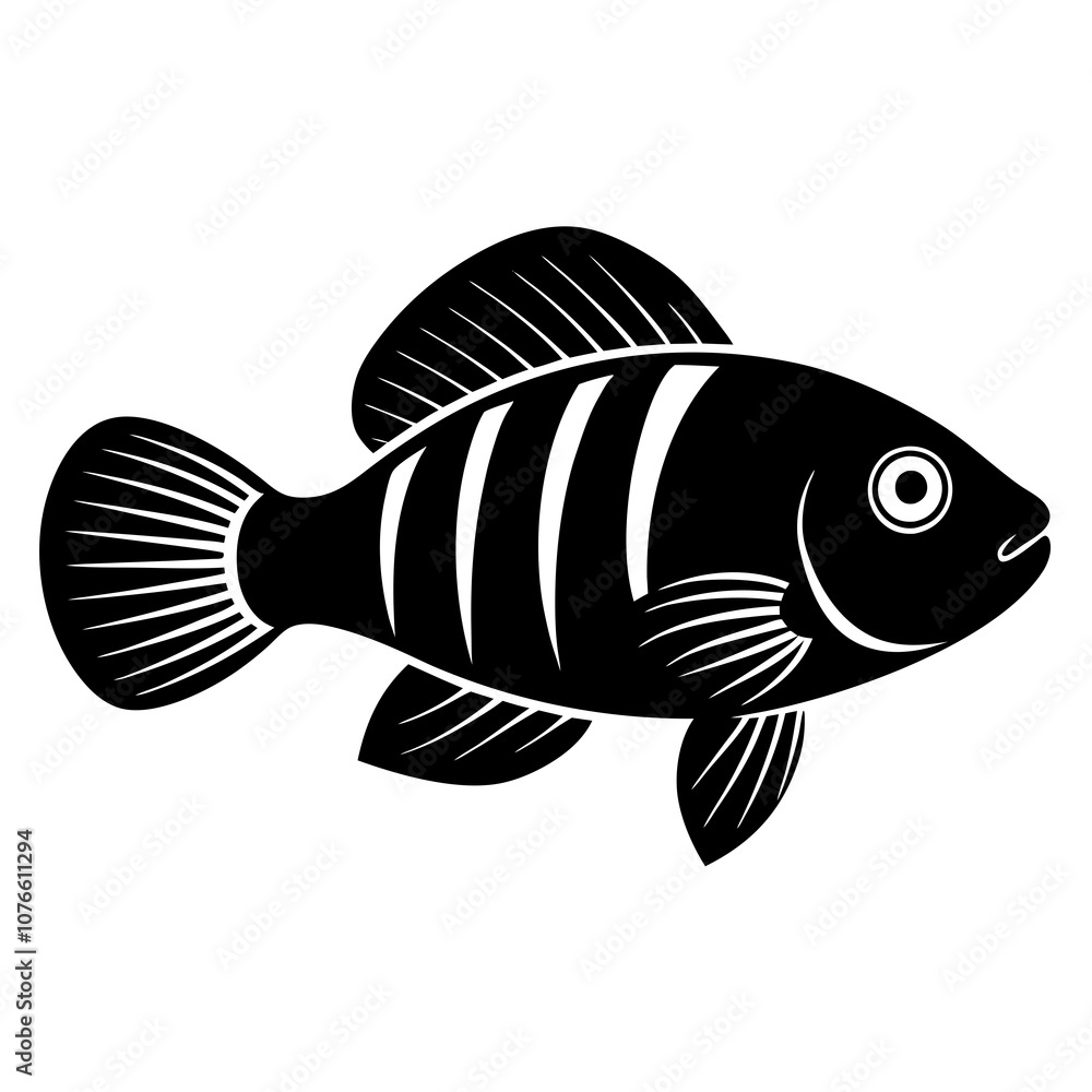fish on a black background fish on a black background