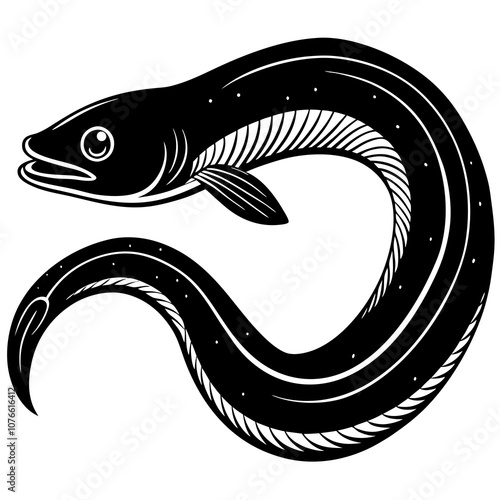 illustration of a eel fish