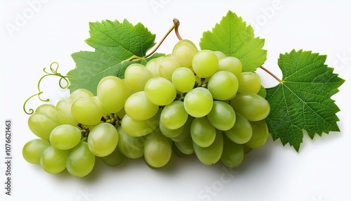 grapes isolated bunch of ripe green grapes with leaves and vine on a white background
