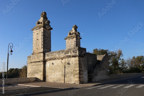 Fotografie Vestiges de l'ancien pont de Trinquetaille,  pont ferroviaire sur le fleuve Rhôn