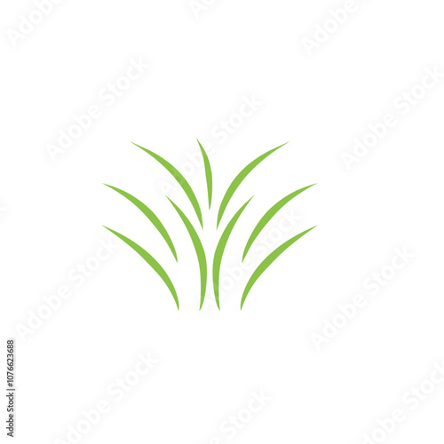 Green grass vector