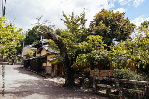 Philosopher's Walk in Kyoto Japan