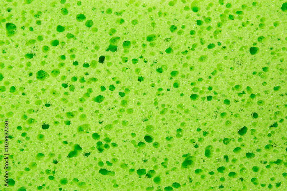 green texture of Sponge for background green texture of Sponge for background